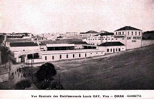 ORAN - GAMBETTA - VINS GAYS